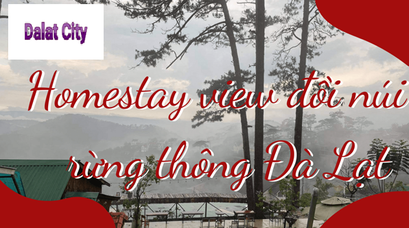 homestay-view-doi-nui-va-rung-thong